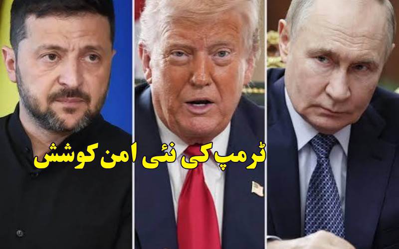 پوتن اور زیلنسکی میں کشیدگی کے درمیان ٹرمپ کی نئی امن کوشش